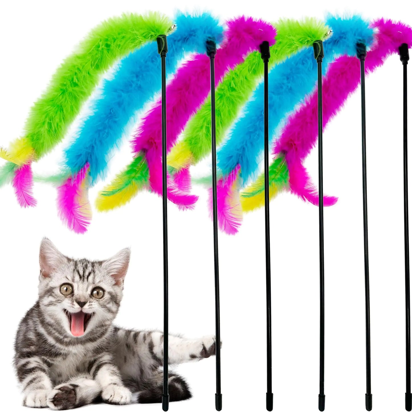 Indoor Cats Play