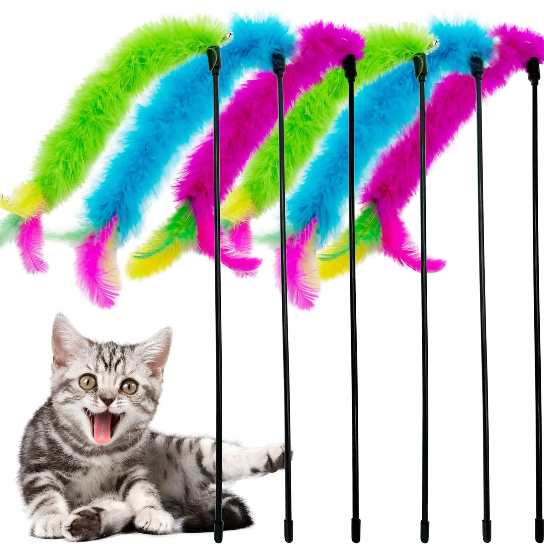  Indoor Cats Play
